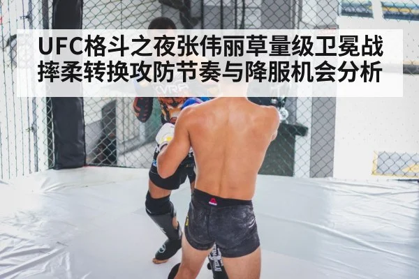 MMA cage fight